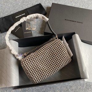 Alexander Wang heiress pouch in rhinestone mesh medium-sized pouch bags